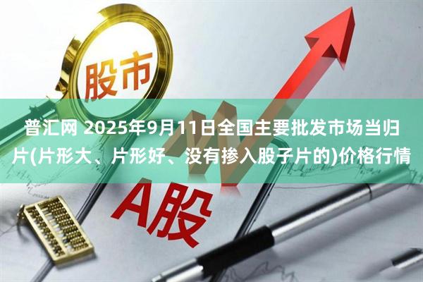 普汇网 2025年9月11日全国主要批发市场当归片(片形大、片形好、没有掺入股子片的)价格行情