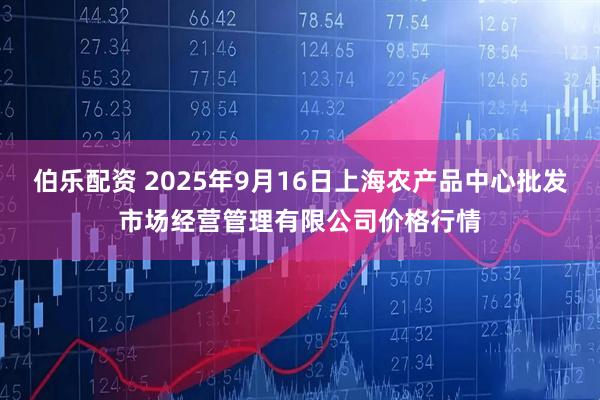 伯乐配资 2025年9月16日上海农产品中心批发市场经营管理有限公司价格行情