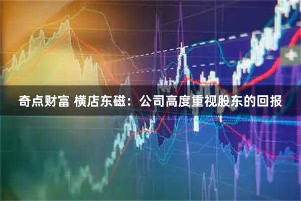 奇点财富 横店东磁：公司高度重视股东的回报