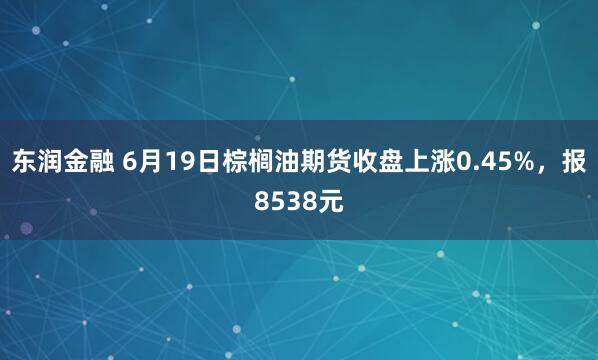 东润金融 6月19日棕榈油期货收盘上涨0.45%，报8538元