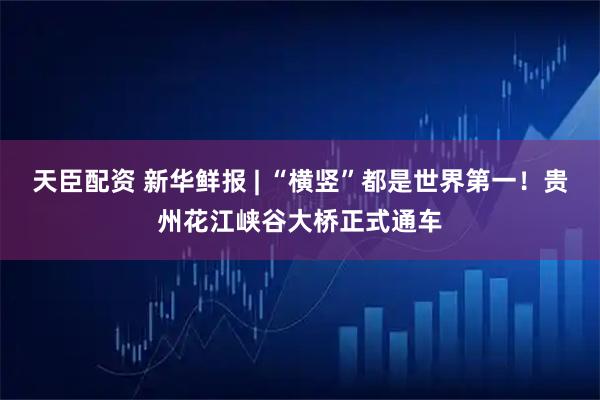 天臣配资 新华鲜报 | “横竖”都是世界第一！贵州花江峡谷大桥正式通车