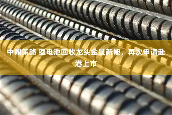 中鼎策略 锂电池回收龙头金晟新能，再次申请赴港上市