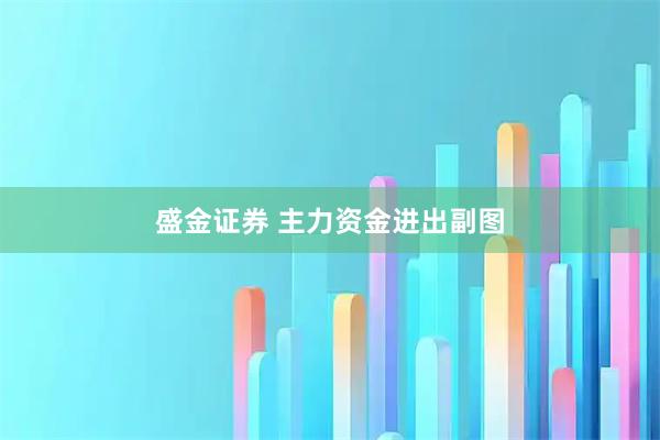 盛金证券 主力资金进出副图
